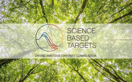 Intego Group Takes Bold Action for a Sustainable Future: SBTi Commitment and CDP Reporting