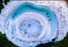 From sea sparkles to fireflies: Chasing Australia's 'big four'