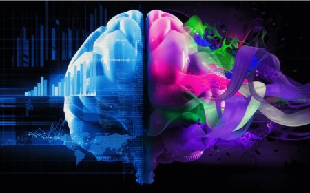 Es hora de dejar de creer que el cerebro tiene un lado creativo y uno analítico