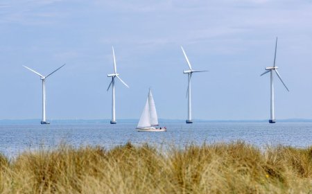 'Wind theft': The mysterious effect plaguing wind farms