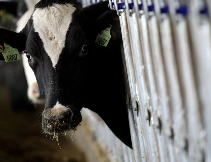 Brasil logra estatus libre de fiebre aftosa sin vacuna